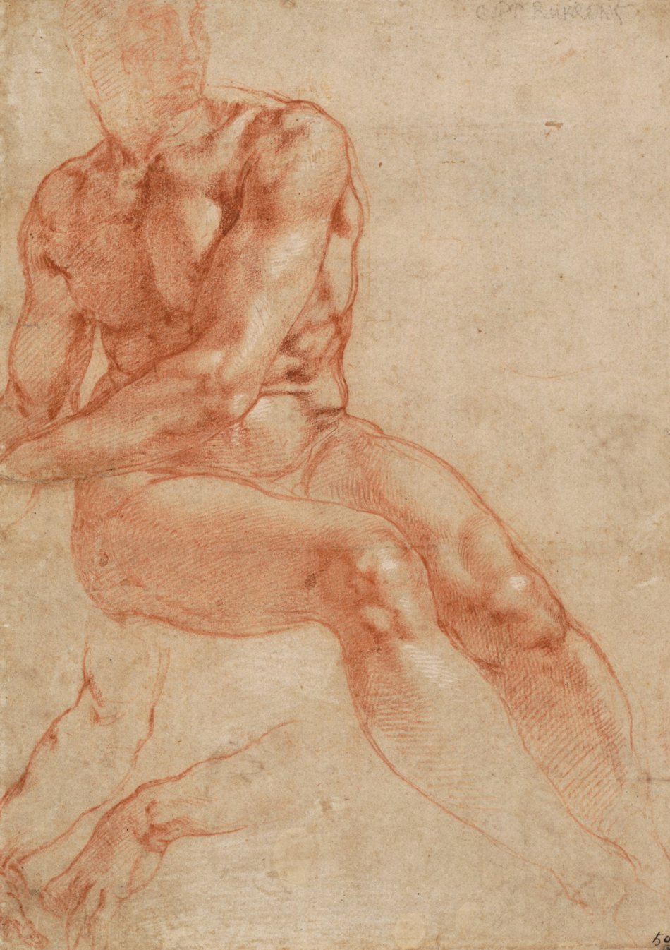 Микеланджело Буонарроти - Рисунок сидящей мужской обнажённой фигуры и кисти рук